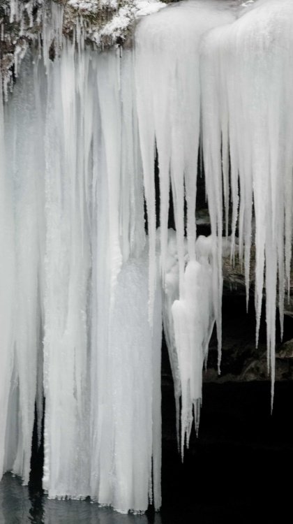 Icetights, Levens, December 2010