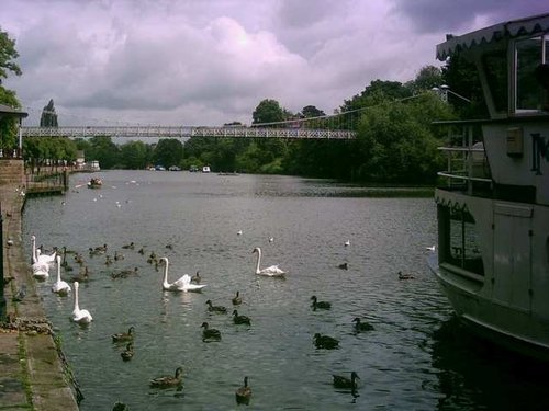 Chester - August 2010