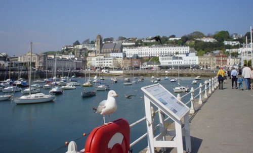 Torquay Harbour