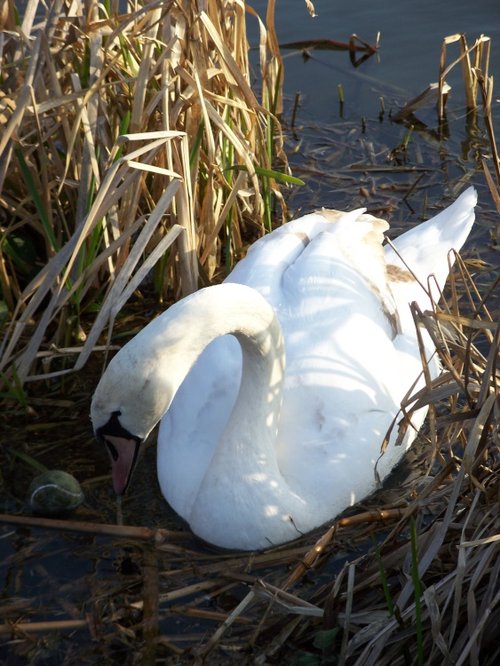 Keep your eye on the ball