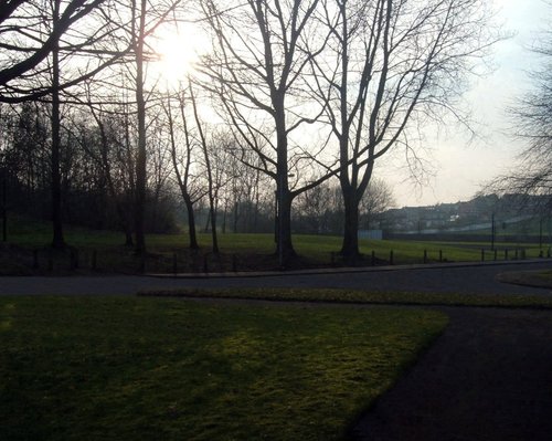 Early March sunshine