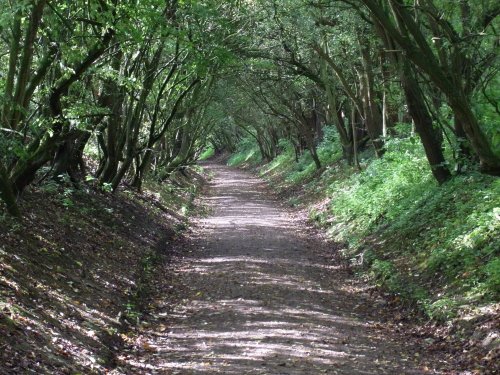 Slimbridge Wetland Centre