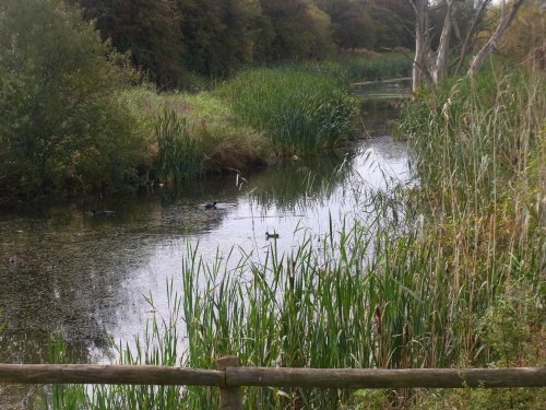 Slimbridge Wetland Centre