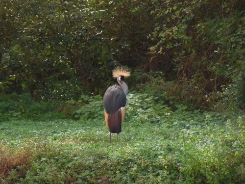 Slimbridge Wetland Centre
