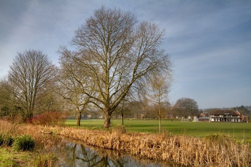 Water Meadows, Winchester