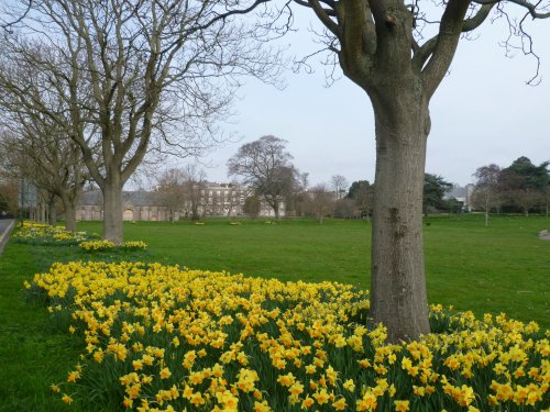 A splash of colour at Torre Abbey