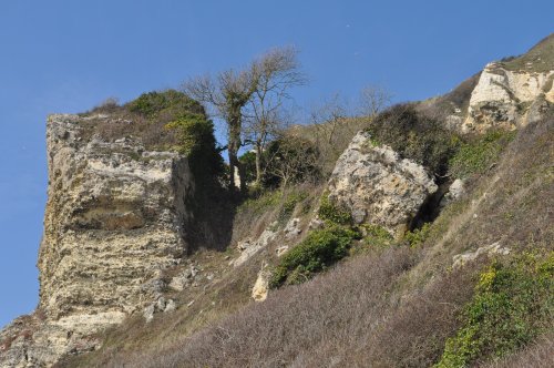 Branscombe Cliffs