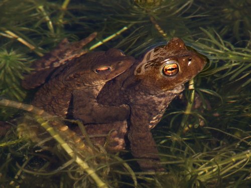 Spring is in the air