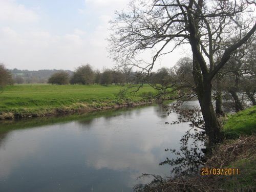Walking along the Derwent River