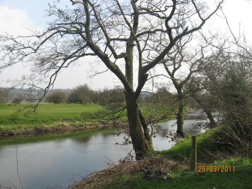 Walking along the Derwent River