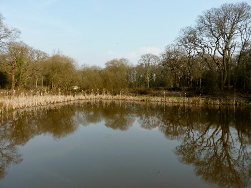 Mirror Mirror On The Water