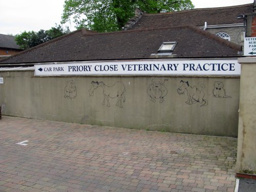 Funny drawings at the vets