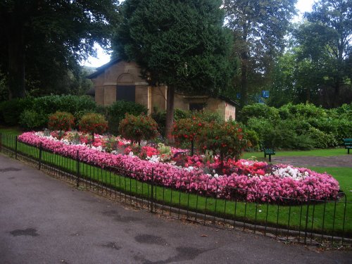 Flowers in the Evening