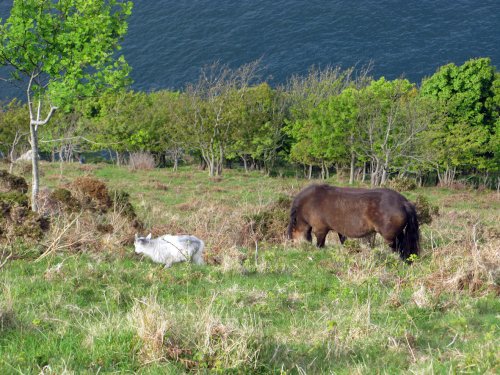 The South West Coast past near Lynton