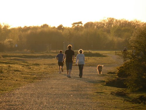 Family Walk in Spring Sunshine