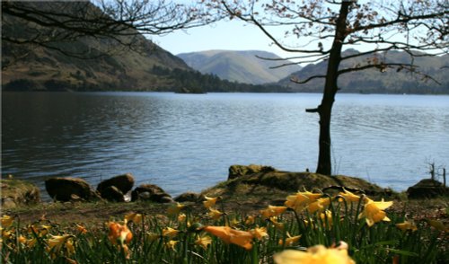 Ullswater and Wordworths Daffodils