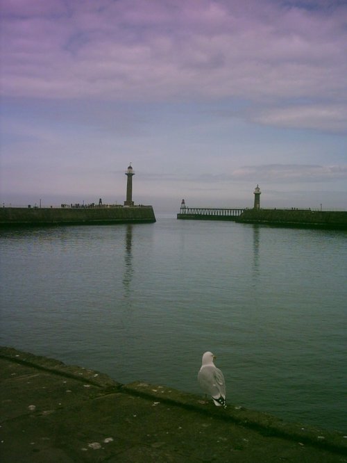 Whitby - April 2011