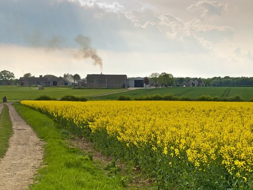 Crop drying barns