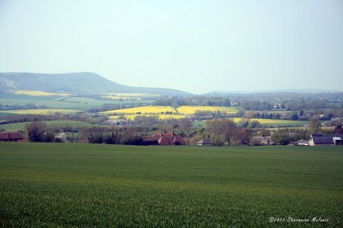 Sussex countryside!