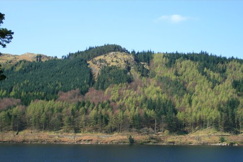 Shades of Green at Thirlmere, Lake District.