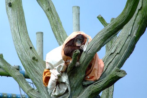 Where's the umbrella when it's needed?