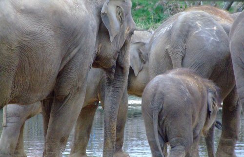 Can you let me to the water please?