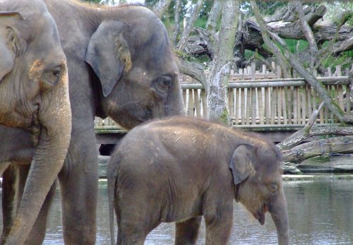 In Memory of Ganesh Vijay