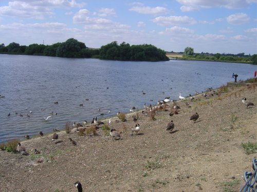 Abberton Reservoir