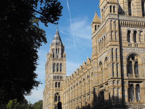 Natural History Museum