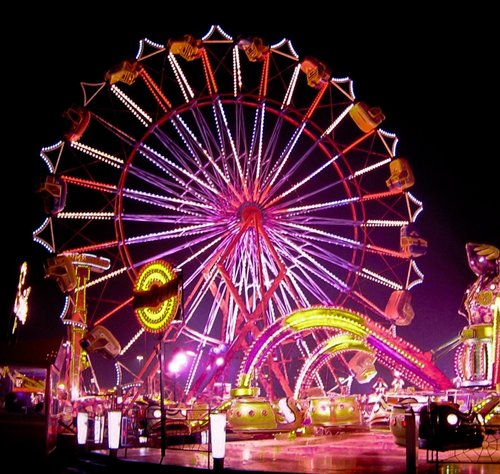 All the fun at the fair