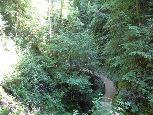 Shanklin Chine