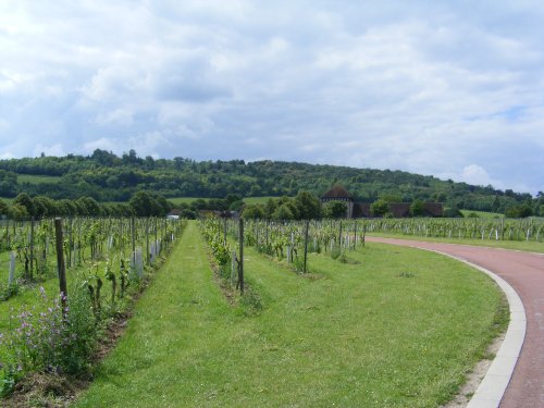 Denbies Vista.