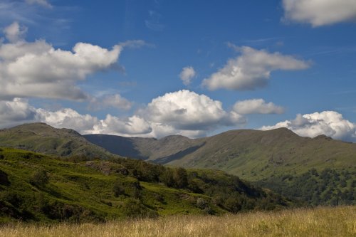 The Fairfield Horseshoe