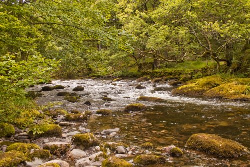 River Rothay