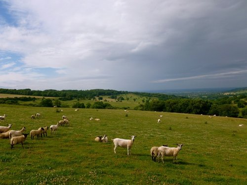 Pasture overlooking Snowshill.