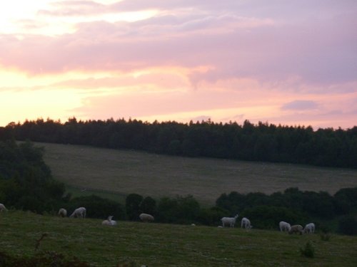 Lavender skies above Snowshill pasture.