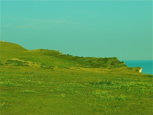 The Downs at Beachy Head.