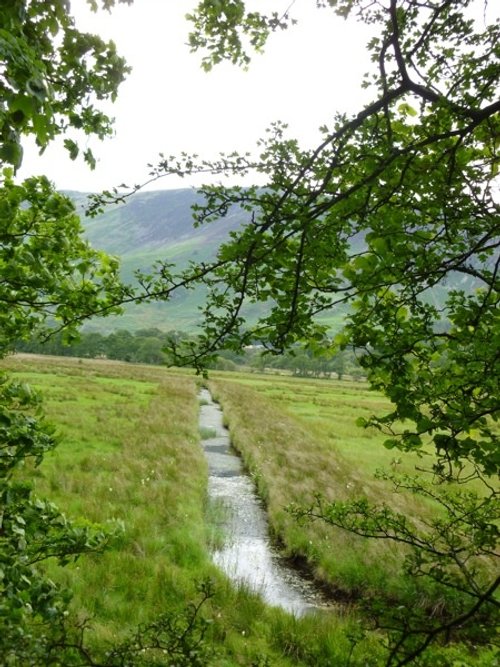 Brook off the footpath
