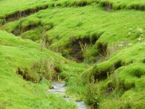 Off the footpath from Stone House to Hawes.