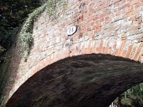 A walk along the canal in summer