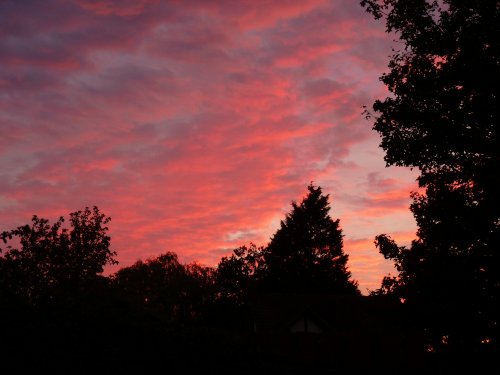 SEE WHAT TOMORROW BRINGS