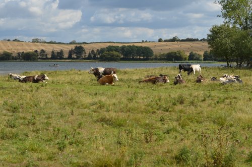 Eyebrook Reservoir