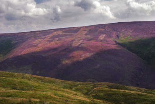 Whitendale Hanging Stones