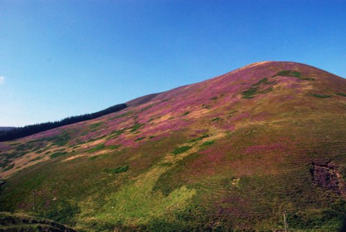 Whitendale Hanging Stones