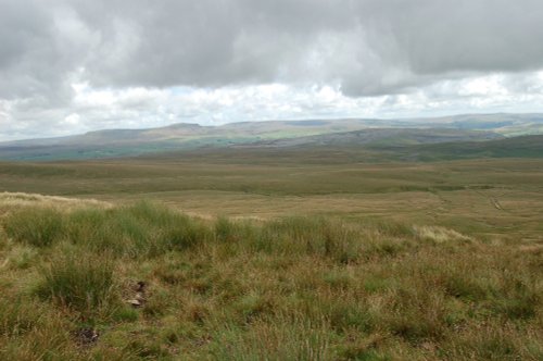 Moor View