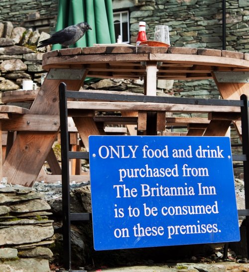 Well, somebody paid for it!