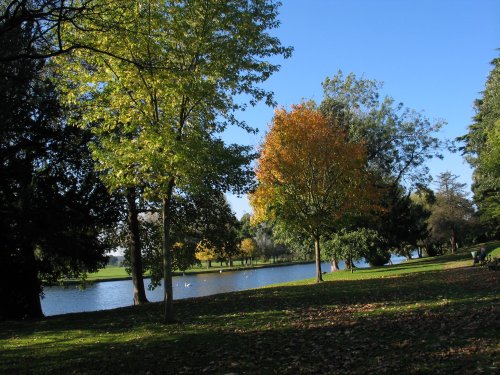 Caversham Court Gardens in Autumn