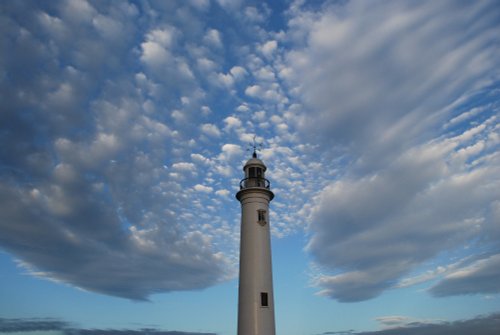 Reaching For The Sky