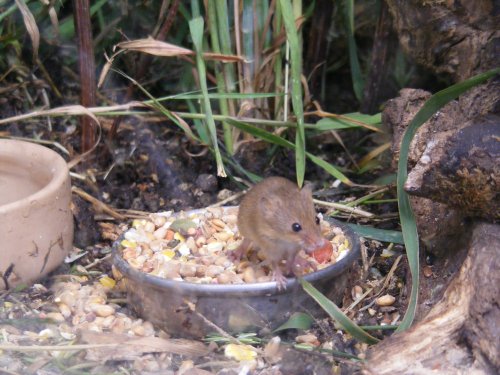 Hey, I didn't order this!