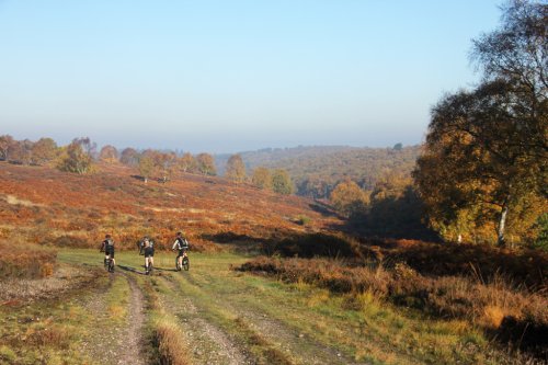 Mountain Biking on Cannock Chase